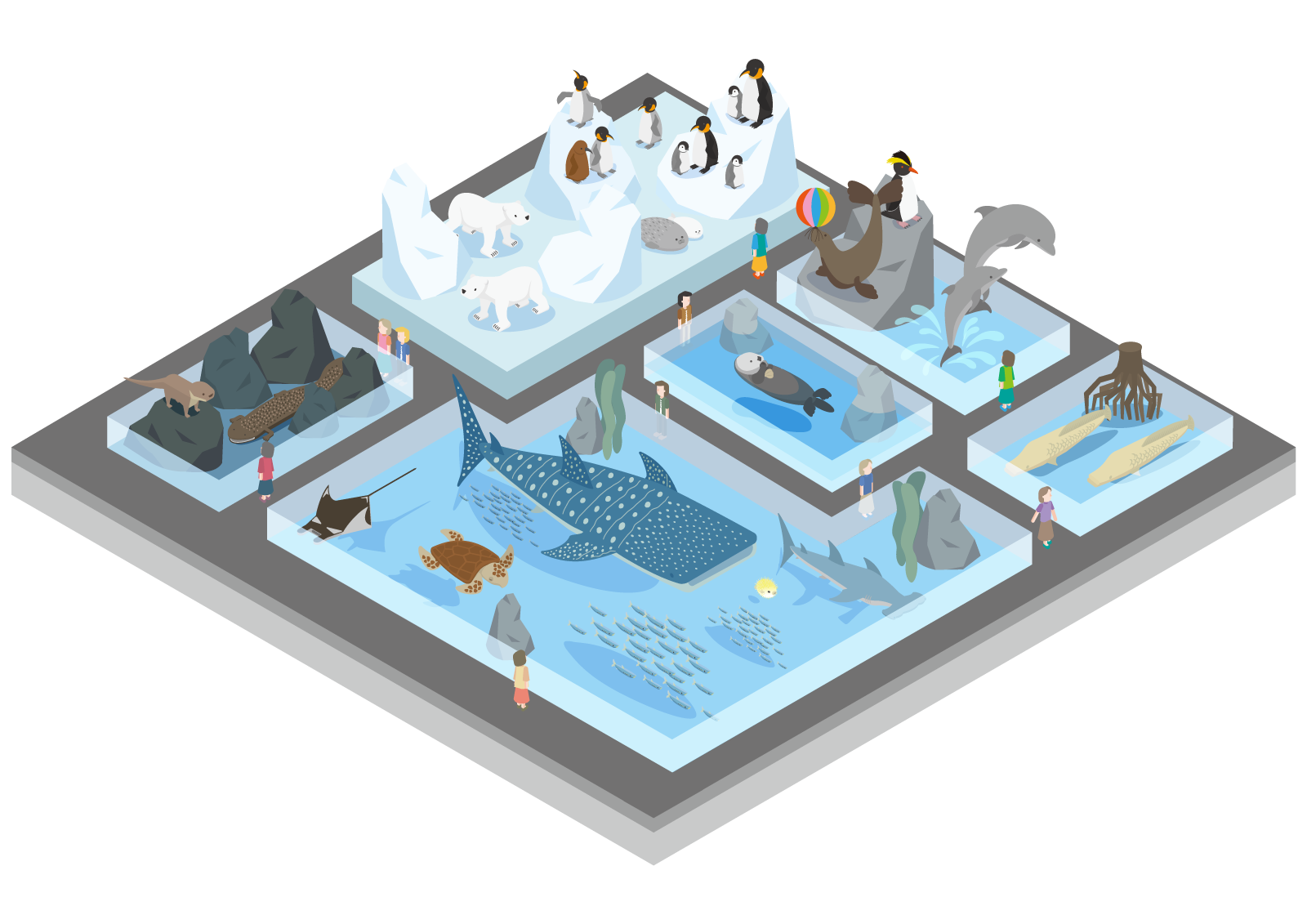 マップイラスト